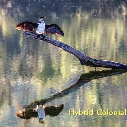 Hybrid Colonial