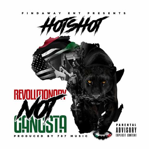 Revolutionary Not Gangsta