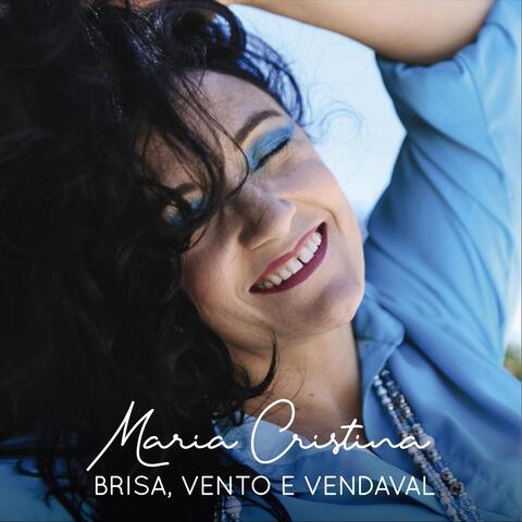 Brisa, Vento e Vendaval