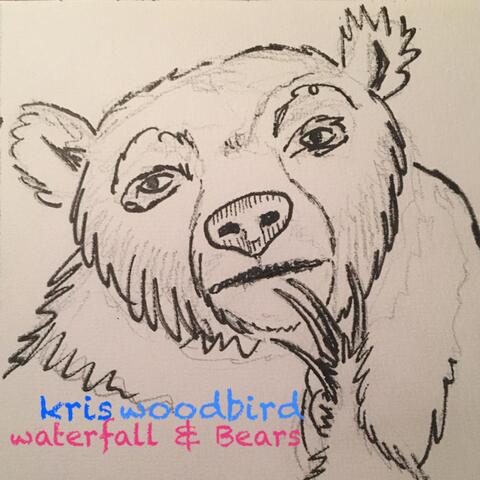 Waterfall & Bears