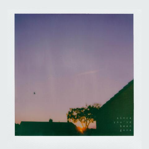 Since You've Been Gone