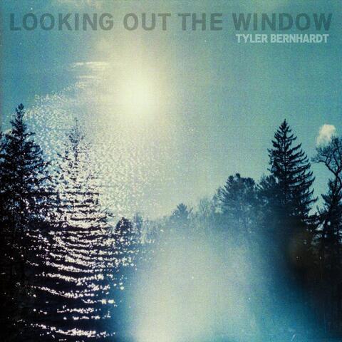 Looking out the Window