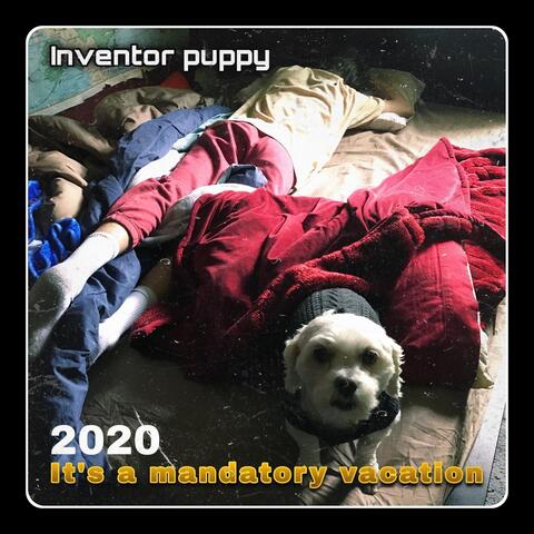 2020: It's a Mandatory Vacation