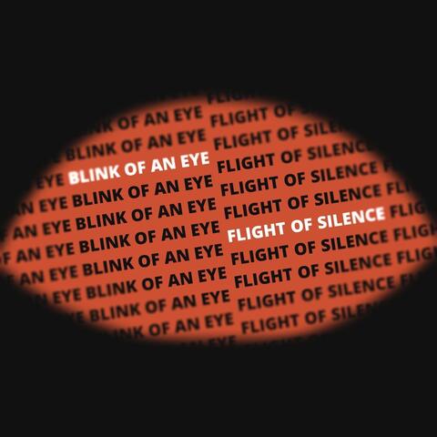 Blink of an Eye