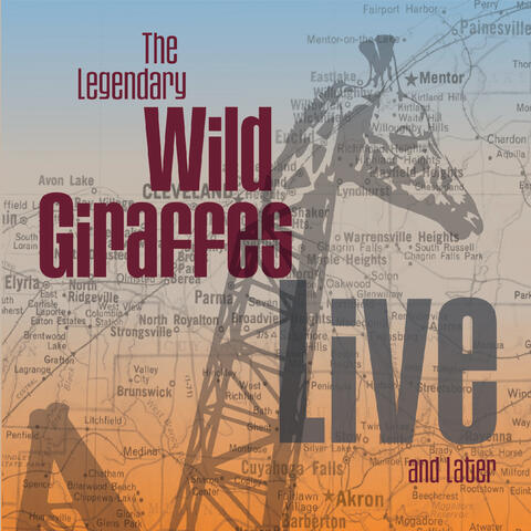 The Wild Giraffes
