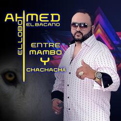 Entre Mambo y Chachachá
