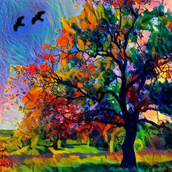 Love and Grace Everywhere