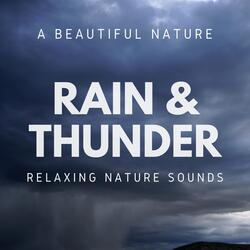 Thunderstorm Soundscape
