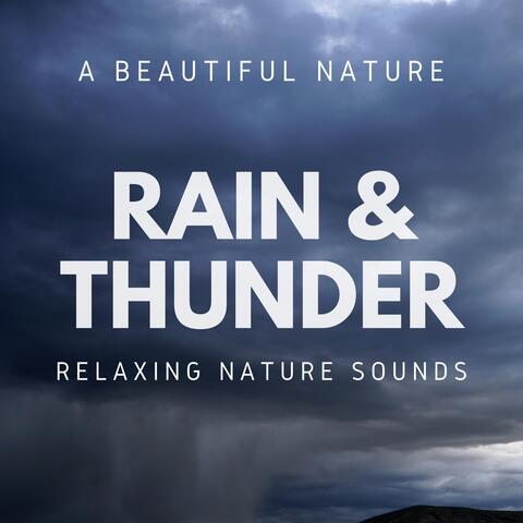 Rain & Thunder: Relaxing Nature Sounds