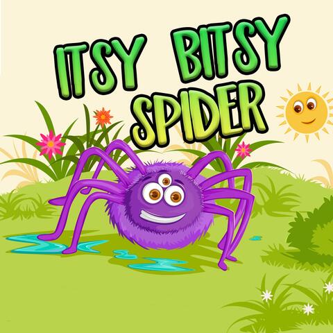 Itsy Bitsy Spider