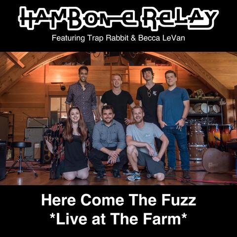 Here Come the Fuzz (Live) [feat. Trap Rabbit & Becca Levan]