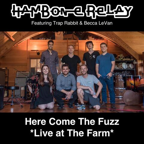 Here Come the Fuzz (Live) [feat. Trap Rabbit & Becca Levan]