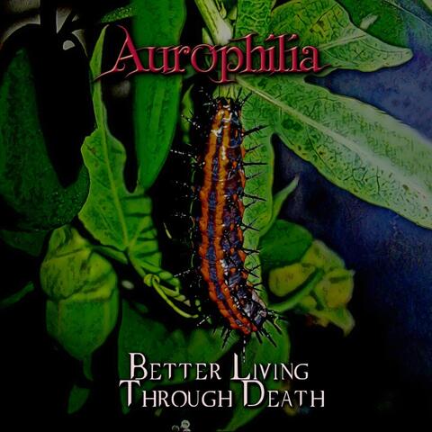 Better Living Through Death