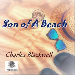 Son of a Beach