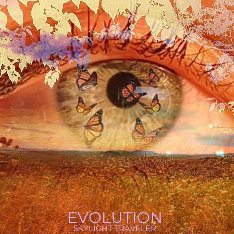 Evolution