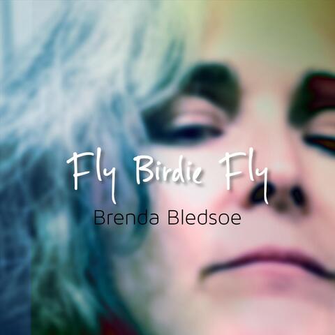 Fly Birdie Fly