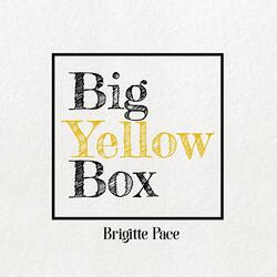 Big Yellow Box