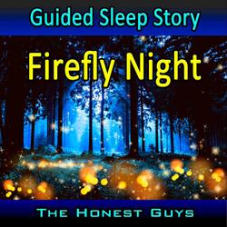 Guided Sleep Story. Firefly Night