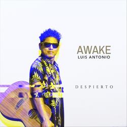 Despierto (Awake)