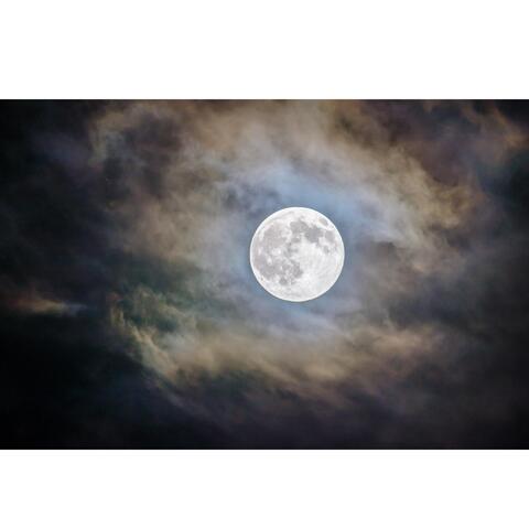 Moonlight All Around