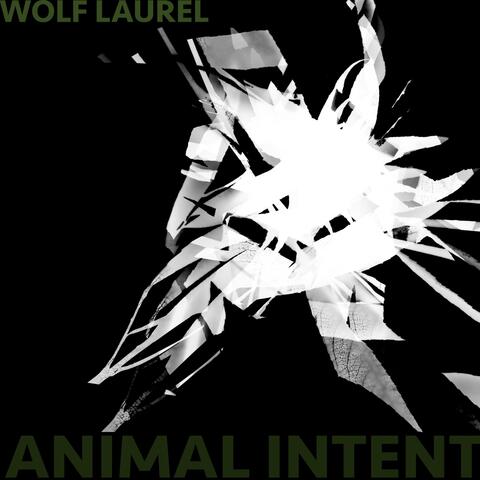 Animal Intent