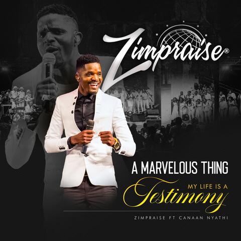 A Marvelous Thing /  My Life Is a Testimony (Live) [feat. Canaan Nyathi]