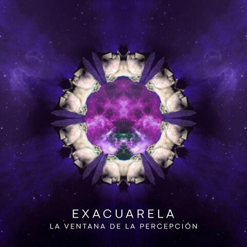 La Ventana de la Percepción
