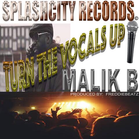 Turn the Vocals Up