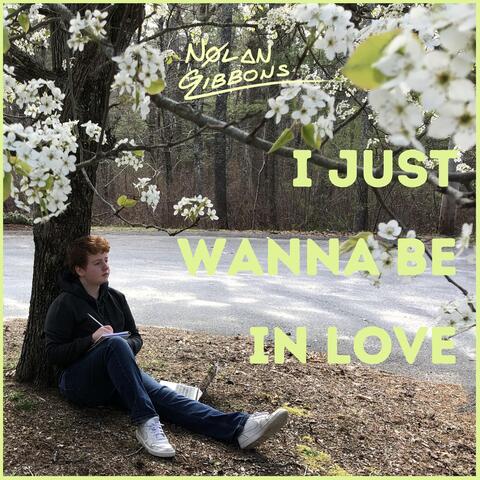 I Just Wanna Be in Love