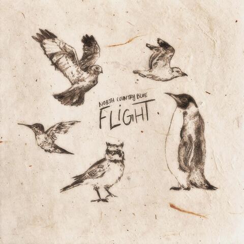 Flight