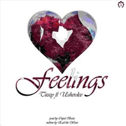 Feelings (feat. Usherdee)