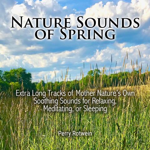 Nature Sounds of Spring