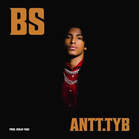 Bs