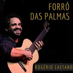 Forró das Palmas