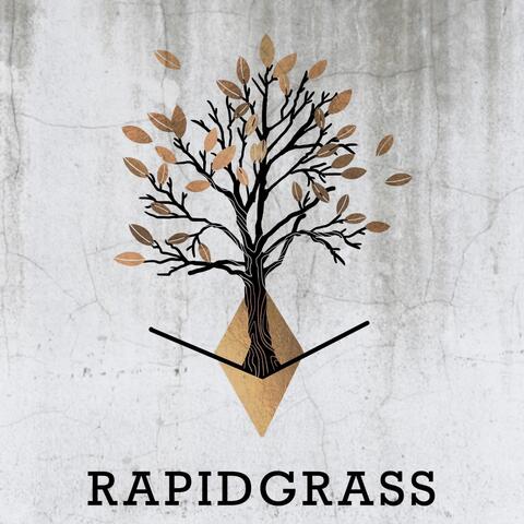 Pickin' in the Pines