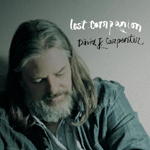 Lost Companion