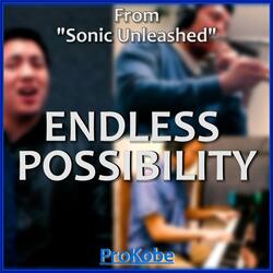 Endless Possibility (From "Sonic Unleashed")