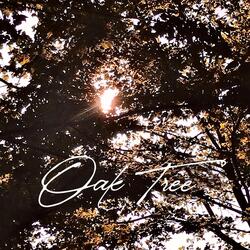 Oak Tree