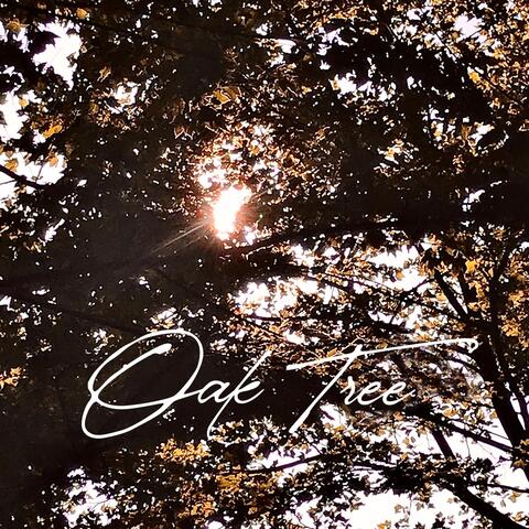 Oak Tree