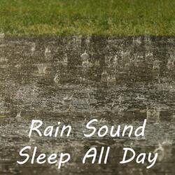 Coquelicot Rain Sound Sleep