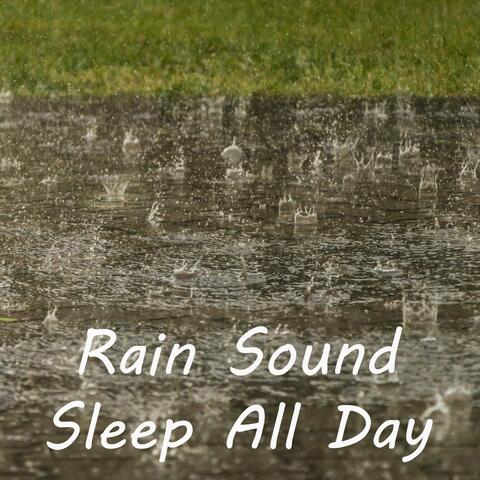 Rain Sound Sleep All Day