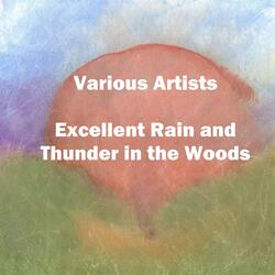 That Seems Like Small Bits of Hail