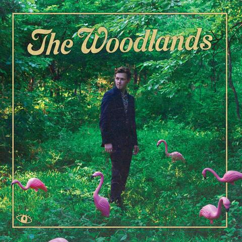 The Woodlands