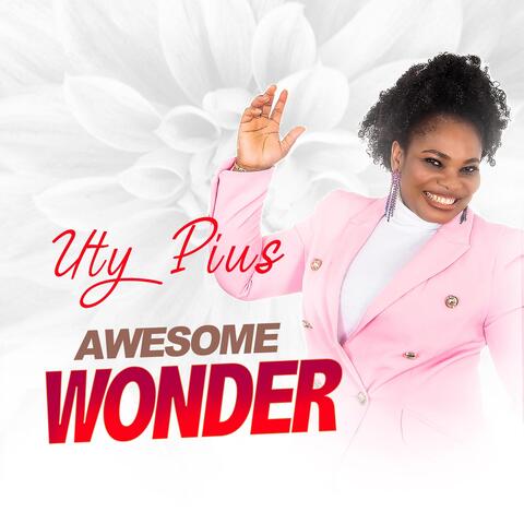 Awesome Wonder