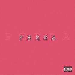 Perra (feat. Dylane Dav)