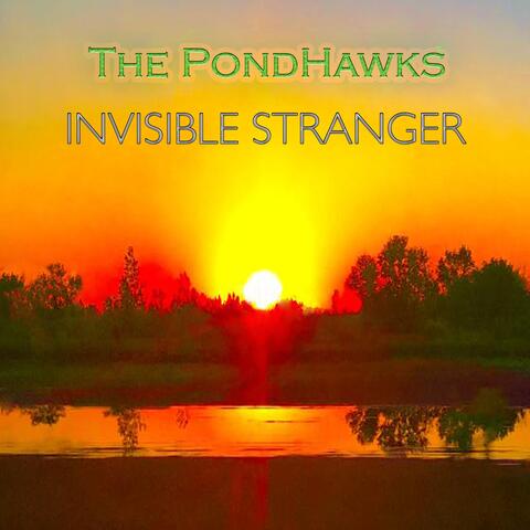 Invisible Stranger