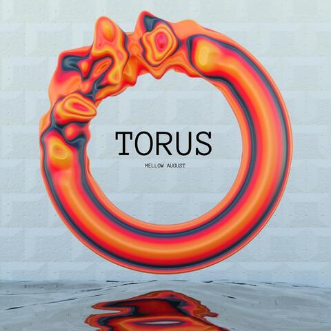 Torus