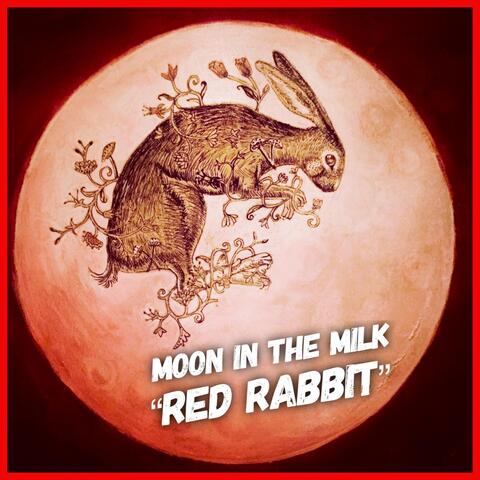 Red Rabbit