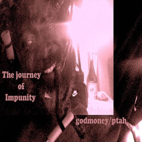 The Journey of Impunity
