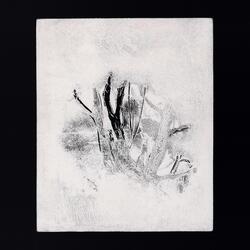 Diminish (Split Version)